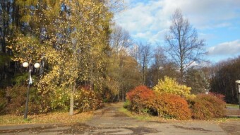 A good day for a longer walk - it's still autumn - My Actifit Report Card: November 16 2023
