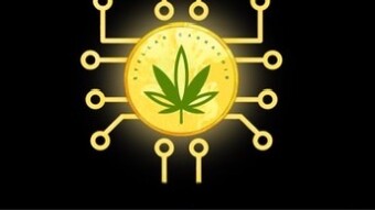 Update on the Stellar Cannacoin community. High times up ahead!