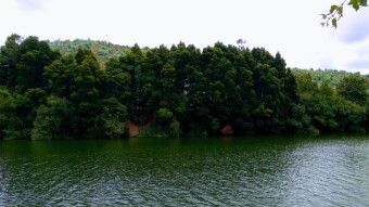 Trip to Portugal - Foz do Sousa #2