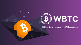 What is a 'wrapped' token and what can you do with it?
