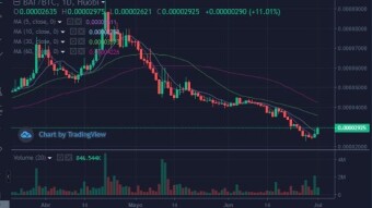 How did I select my cryptos before the bull run of spring 2019?