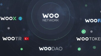 My top 1 coin and pick during this bear market for the next bull run.