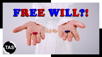 Is There Free Will?