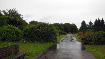 Bike stayed at home, definitely just a walk today - My Actifit Report Card: August 1 2023