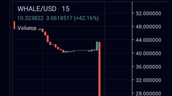 March 14th: Massive ROLL hack + $1M NFT offer declined.