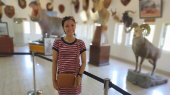 Baluarte Zoo and Safari Gallery in Vigan, Philippines
