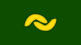 Why you should invest in BANANO!