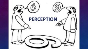 Perception is Reality