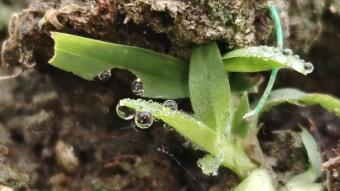 WATER DROPS Photography.