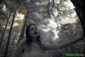 Infrared Photography - Lovely Logic checking out a large pine tree
