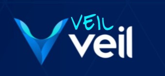 VEIL PROJECT REVIEW
