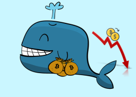 A whale and a disaster - Bitcoin