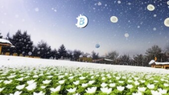FED remains unchanged on interest rates yet Bitcoin falls below 25k. Any Gusses?