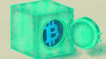 The Digital E-Naira