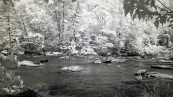 Ultraviolet and Infrared Photography - Rocks out in the creek