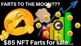 Nft Farts, What's next?