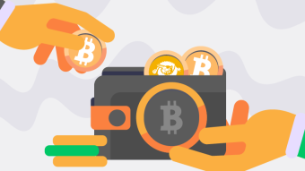 Best Bitcoin SV Wallets (2020)