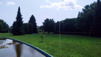 Another very warm and pleasant day - My Actifit Report Card: June 5 2025