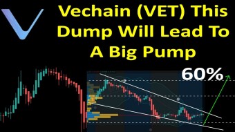 Vechain (VET) | This Dump Will Lead To A Big Pump