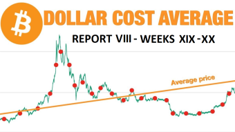 Great DCA experiment - report VIII (week 19-20)