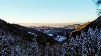 colder evening
