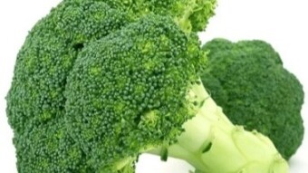 Broccoli is a cool-season vegetable!