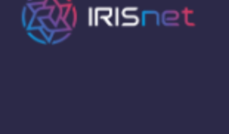 IRIS coin: A stakeable coin and a coin for allowing transfer of tokens between blockchains