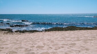 Trip to Portugal - Angeiras Summer 2020