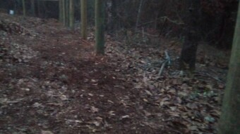 Apocalyptic Homesteading (Day 25-26)
