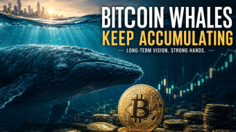 Bitcoin: While the Market Hesitates, the Whales Keep Moving Without Fear