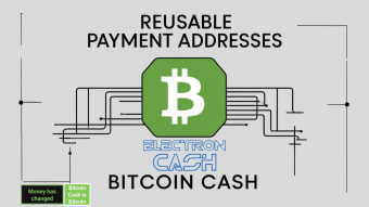 RPA on Bitcoin Cash: A Game-Changer for Financial Privacy