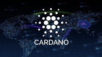 Cardano : The Underdog ?