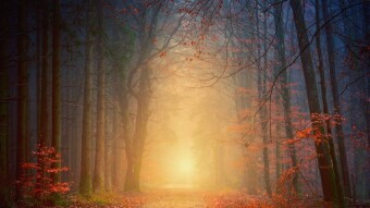 "The Unseen World"