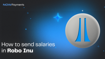 How to send salaries in Robo Inu crypto