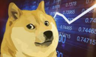 What is Dogecoin ? [ Comprehensive Guide to Help You Understand Dogecoin]