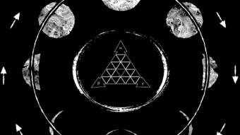 The Fool or Folly, Which Comes First?: An Addendum to "Immortal Truth: A Neuroscientific Critique of Postmodernism"