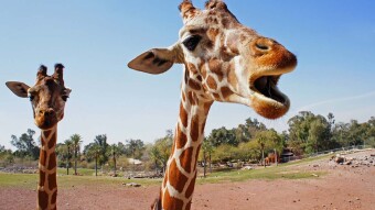 A selection of interesting facts №23