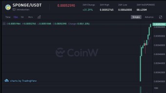 How this investor turned $50 000 into $500 000 in just ten days with new coin!