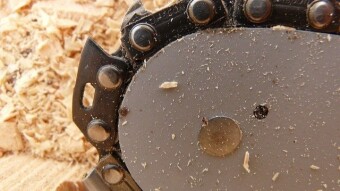 Whose chainsaw? (5 minute freewrite)