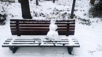 Another day of thaw - snowman season - My Actifit Report Card: January 14, 2026