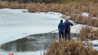 "Flyja", "Flyjarze", who knows what it means? - a walk mainly around the pond - My Actifit Report Card: January 28 2024