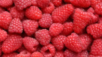 Very easy Raspberry tincture by/Banalnie prosta w obsłudze Malinówka