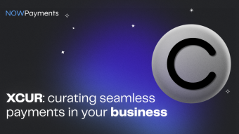 XCUR: Curating Seamless Payments in Your Business