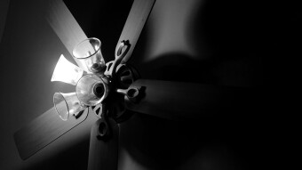 Black & White Photography