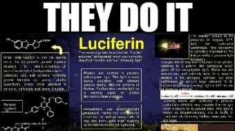More Evidence Of Harm And Death