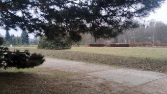 Christmas Day Surprisingly Frosty! - My Actifit Report Card: December 25, 2025