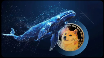 🐋 Whale Moves 10.3M DOGE Out of Binance After 2 Years of Inactivity 🚨