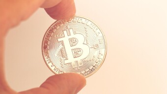 Crypto Market Update: Turtle Steps