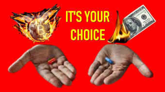 How to overcome the fear of failure when investing in cryptocurrencies: red pill or blue pill?