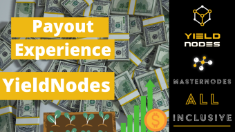 YieldNodes Proof of Payout (Step by Step) - Can You Get Money Out From YieldNodes?